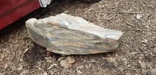 20190223_163956.webp