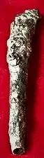 funky nail (2).webp