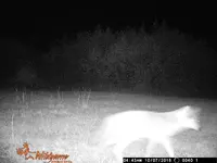 WGI_0040.webp