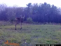 WGI_0009.webp