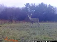 WGI_0137.webp