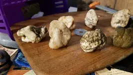 20190202_044433.webp