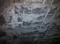 1476205_10201245630042654_1284120138_n.webp