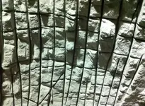 1484095_10201269967331071_1876638794_n.webp