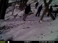 FBI Jan 31.webp