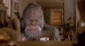 2185F921-28D3-4D09-B43D-8B5FA1D3834F.gif 2185F921-28D3-4D09-B43D-8B5FA1D3834F.gif