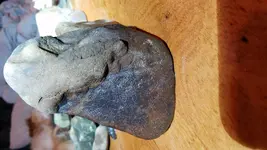 20190204_054956.webp