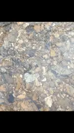 2019.01.27 - in situ.webp