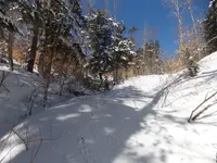 DSCN0509.webp