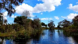 20190205_120348.webp