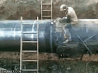 2F929364-E98B-41A0-ACC0-AF8892F46F4F.gif