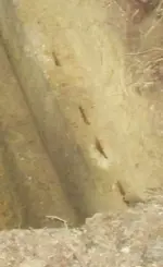 Mystery Pit (3).webp