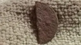 Coin Piece Back.webp