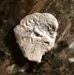 20181230_221329.webp