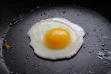 fried egg.jpg