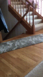 daily-morning-awesomeness-35-photos-4-7.gif