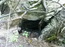 Rumen1A.webp