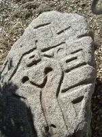 Mystery Rock Close Up (1).webp