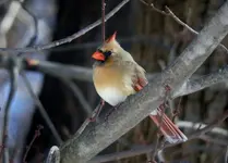 K1600_DSCN3350.webp