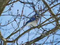 K1600_DSCN3347.webp