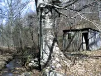 Mar24_01.webp Mar24_01.webp