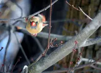 K1600_DSCN3351.webp