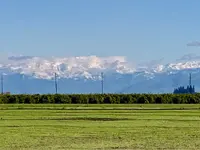 ImageUploadedByTreasureNet.com1549482358.590222.webp