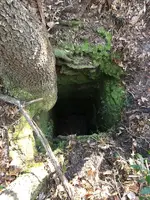 hole 1.webp