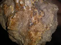 20181126_182533.webp