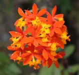 cIMG_4952.webp