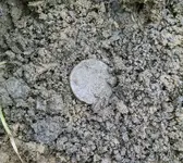 dirt LC.webp
