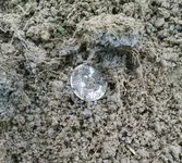 dirt dime.webp