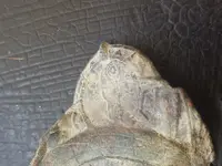 20190313_151718.webp