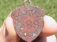 dog tag ft.webp