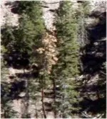 Grid coordinate reference 10C Stack angle100 3x3.webp