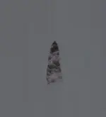 awl side1.webp