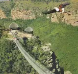 Bridge.webp