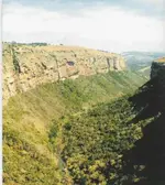 Gorge1.webp