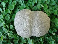 JPEGmaul6-08.webp