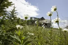 simeonofalaska.webp