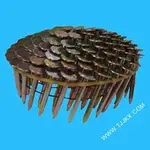 CoilRoofingNail.webp