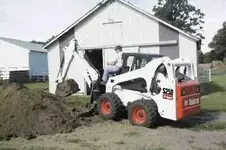 bobcat.webp