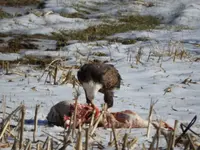 DSCN0048.webp