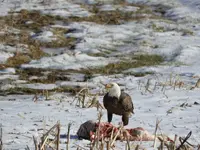 DSCN0047.webp