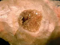 Crystal1c.webp