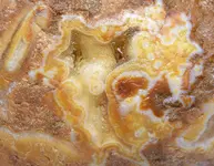 LM yellow agate8a.webp