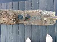 20180611_065338.webp