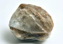 coral agate.webp