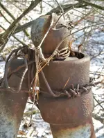 20190209_102041_HDR.webp