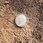 Lee Co. Ga. 1-19-19 (2).webp